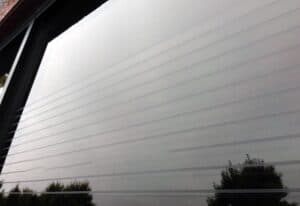 SX BSFH birdSafety 2