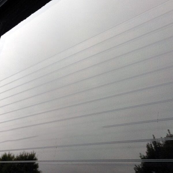 Make Your Windows Bird-Safe! 10 SX BSFH birdSafety 2