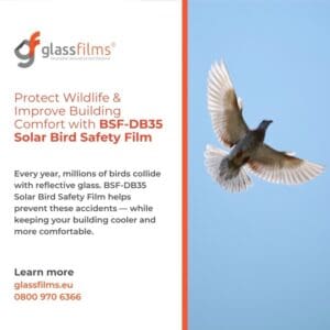 549199471 17962468313980041 2819913596219591517 n